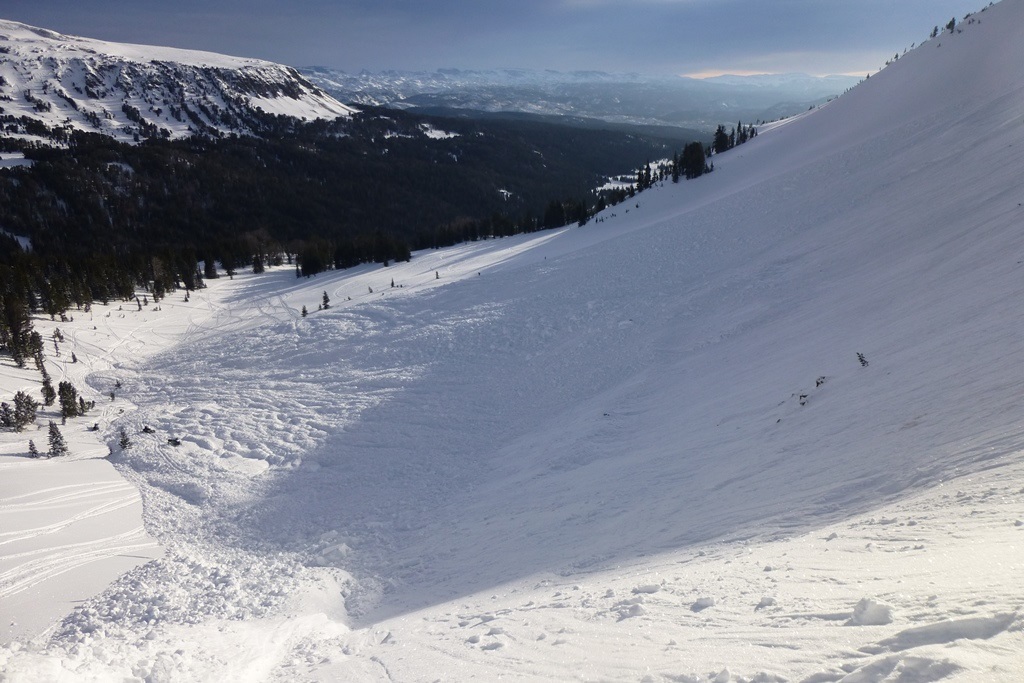 Cooke Avalanche: looking down slope Cooke Avalanche: looking down slope