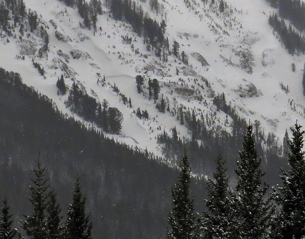 Natural Avalanche Woody Ridge Natural Avalanche Woody Ridge