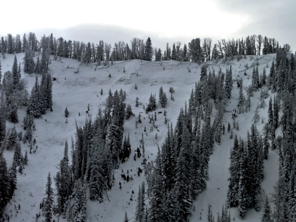 Avalanche Crown - Onion Basin Fatality Avalanche Crown - Onion Basin Fatality