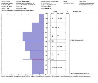 Cedar Basin Snowpit Profile